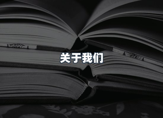 专业团队